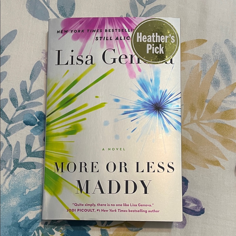 More or Less Maddy Novel